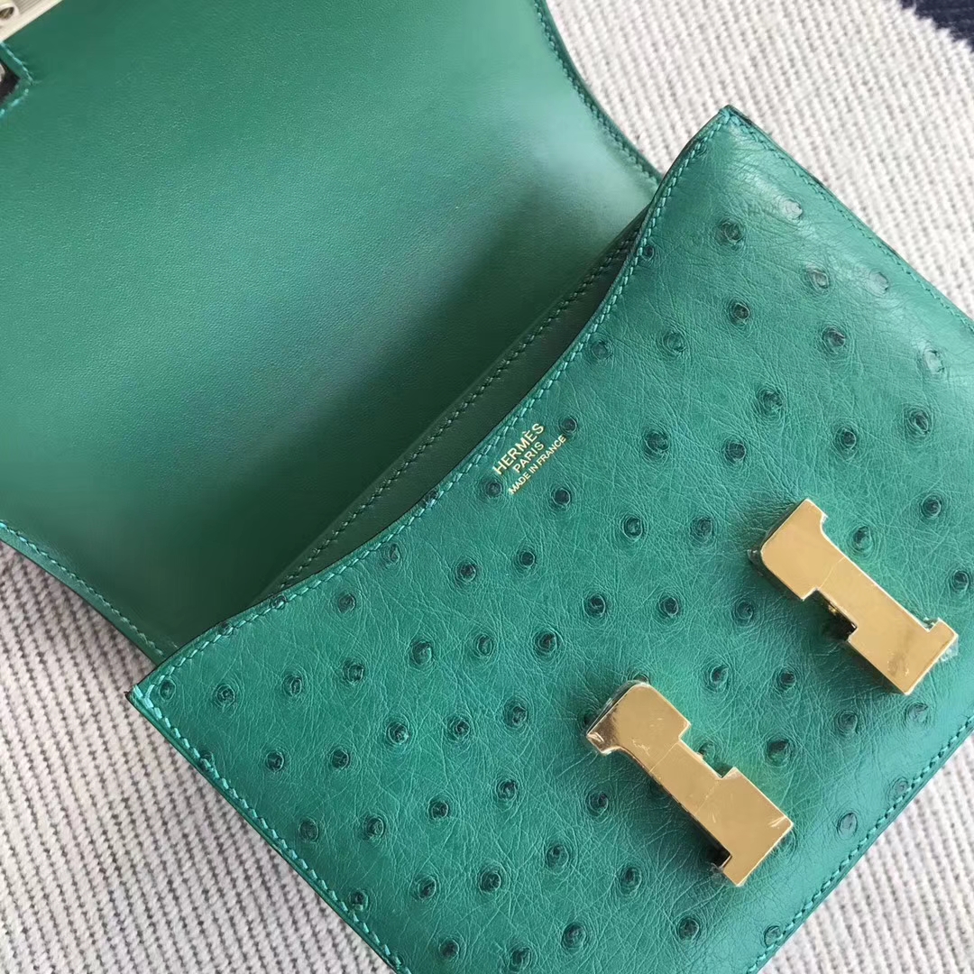 New Arrival Hermes Mint Green Ostrich Leather Constance Bag18cm