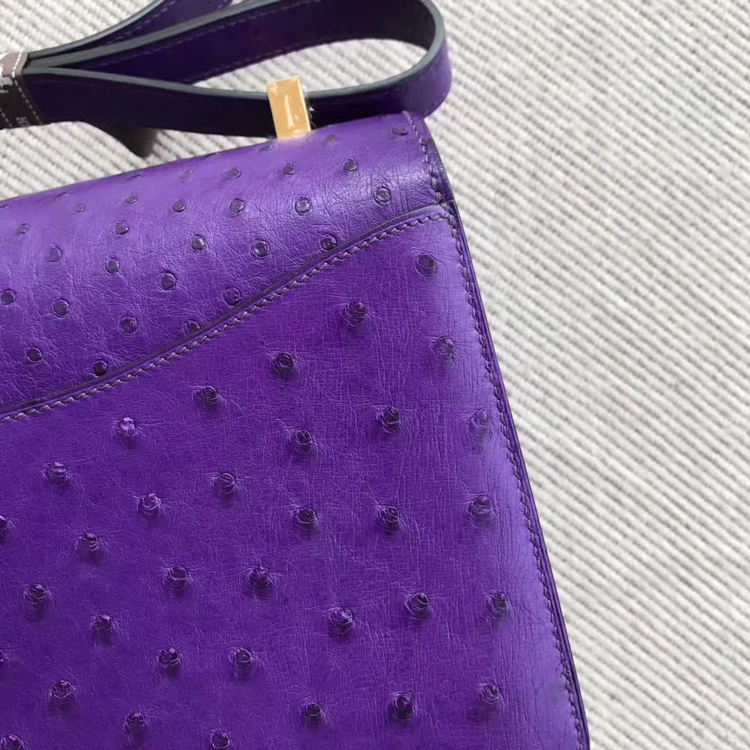 Luxury Hermes 9W Violet Ostrich Leather Constance24cm Shoulder Bag
