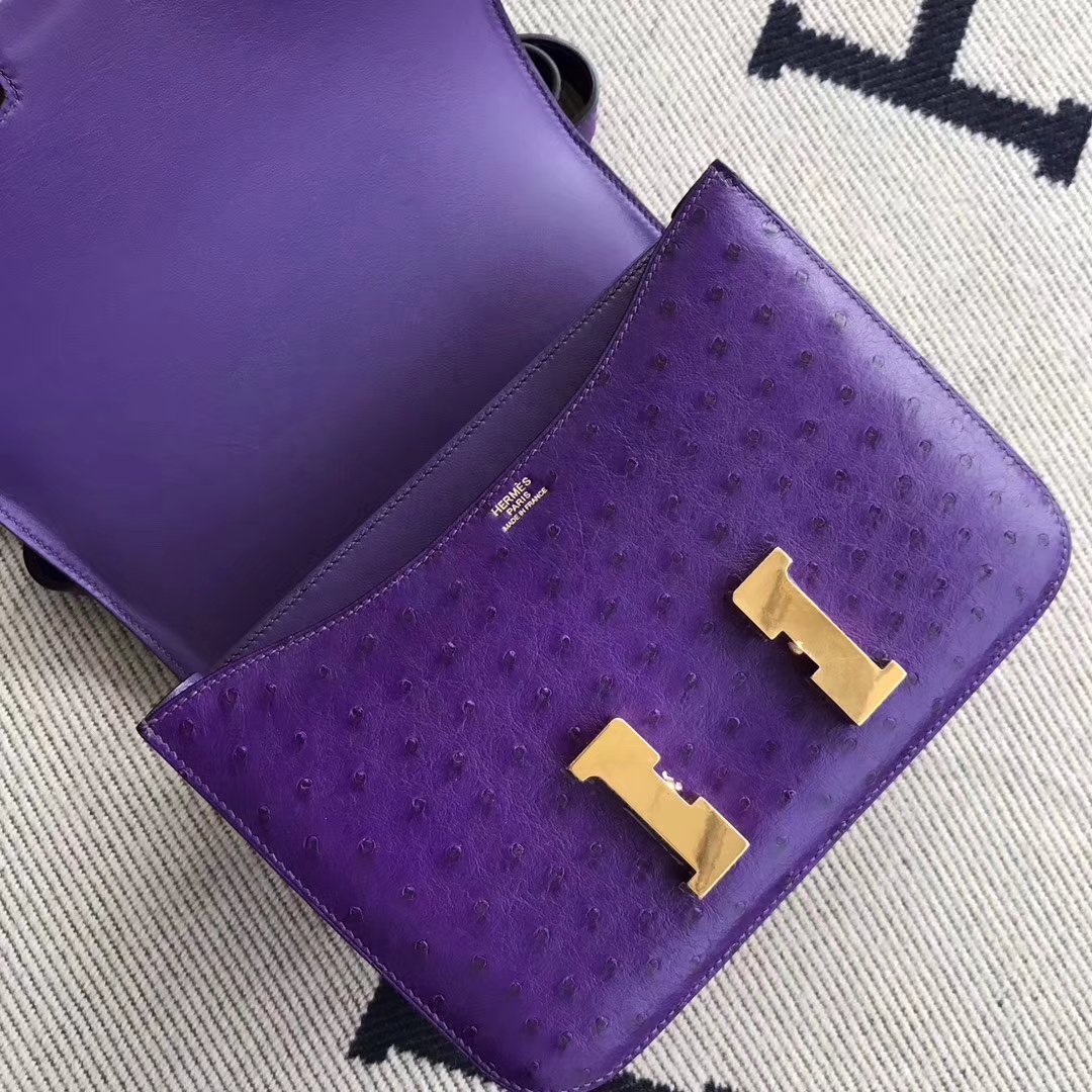 Luxury Hermes 9W Violet Ostrich Leather Constance24cm Shoulder Bag