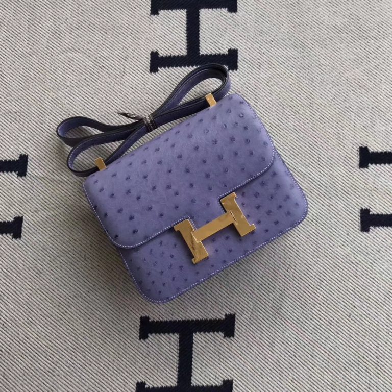 Hermes Ostrich Leather Constance 24cm Shoulder Bag in Lavender Purple