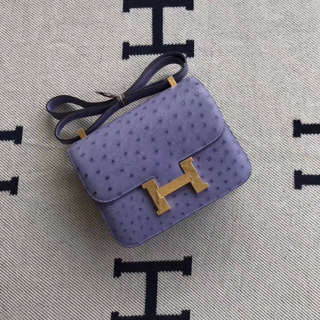 Elegant Hermes Ostrich Leather Constance24cm Shoulder Bag in Lavender Purple