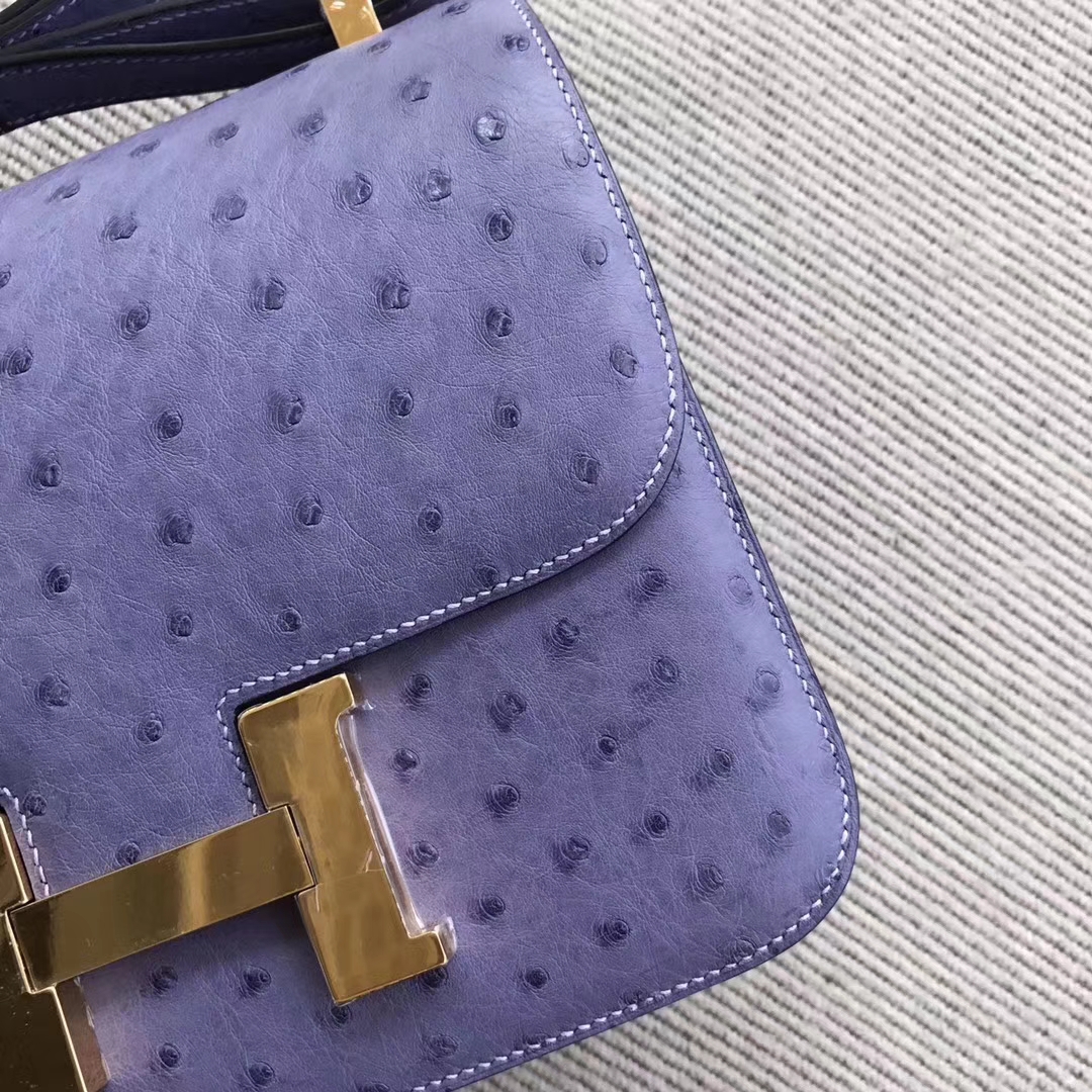 Elegant Hermes Ostrich Leather Constance24cm Shoulder Bag in Lavender Purple