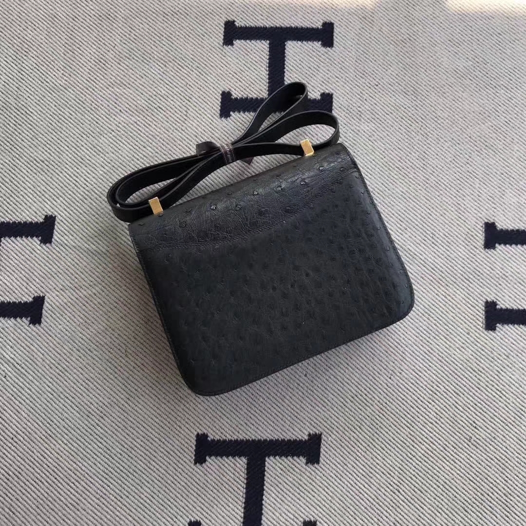 Discount Hermes Constance Bag24cm in 8F Etain Grey Ostrich Leather