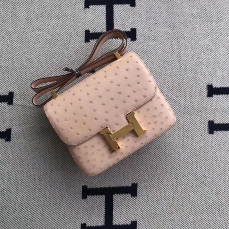 Hermes Nude Pink Ostrich Leather Constance 24cm Bag Gold Hardware