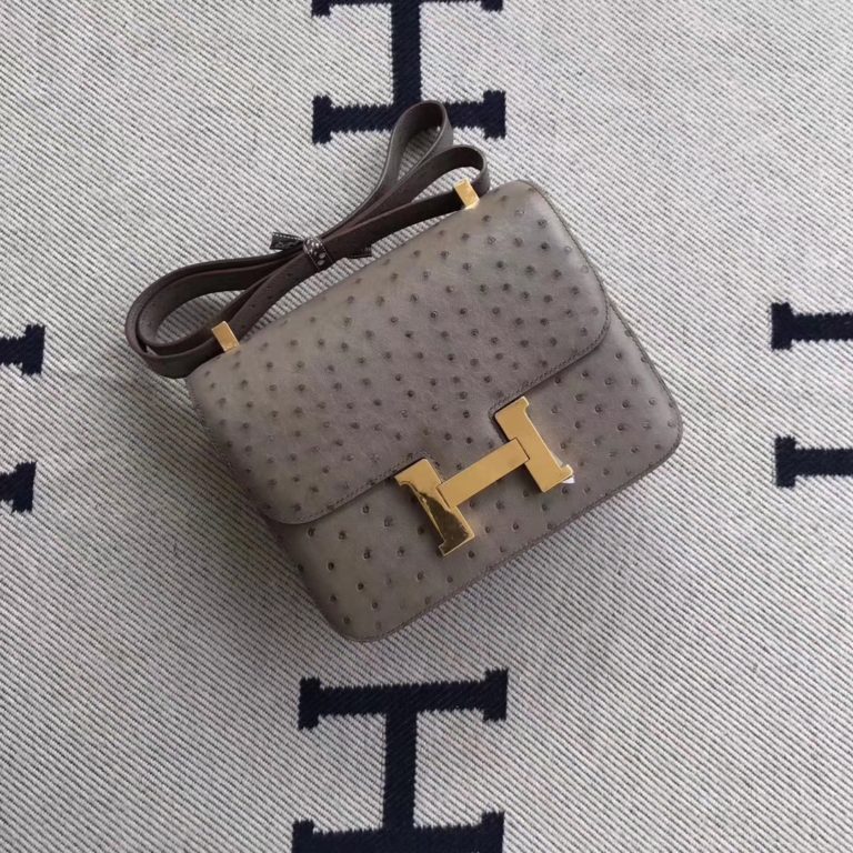 Hermes Etoupe Grey Ostrich Leather Constance 24cm Bag Gold Hardware