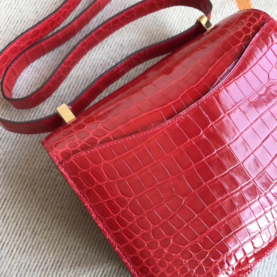 Discount Hermes Shiny Crocodile Leather Constance24CM Bag in CK95 Braise