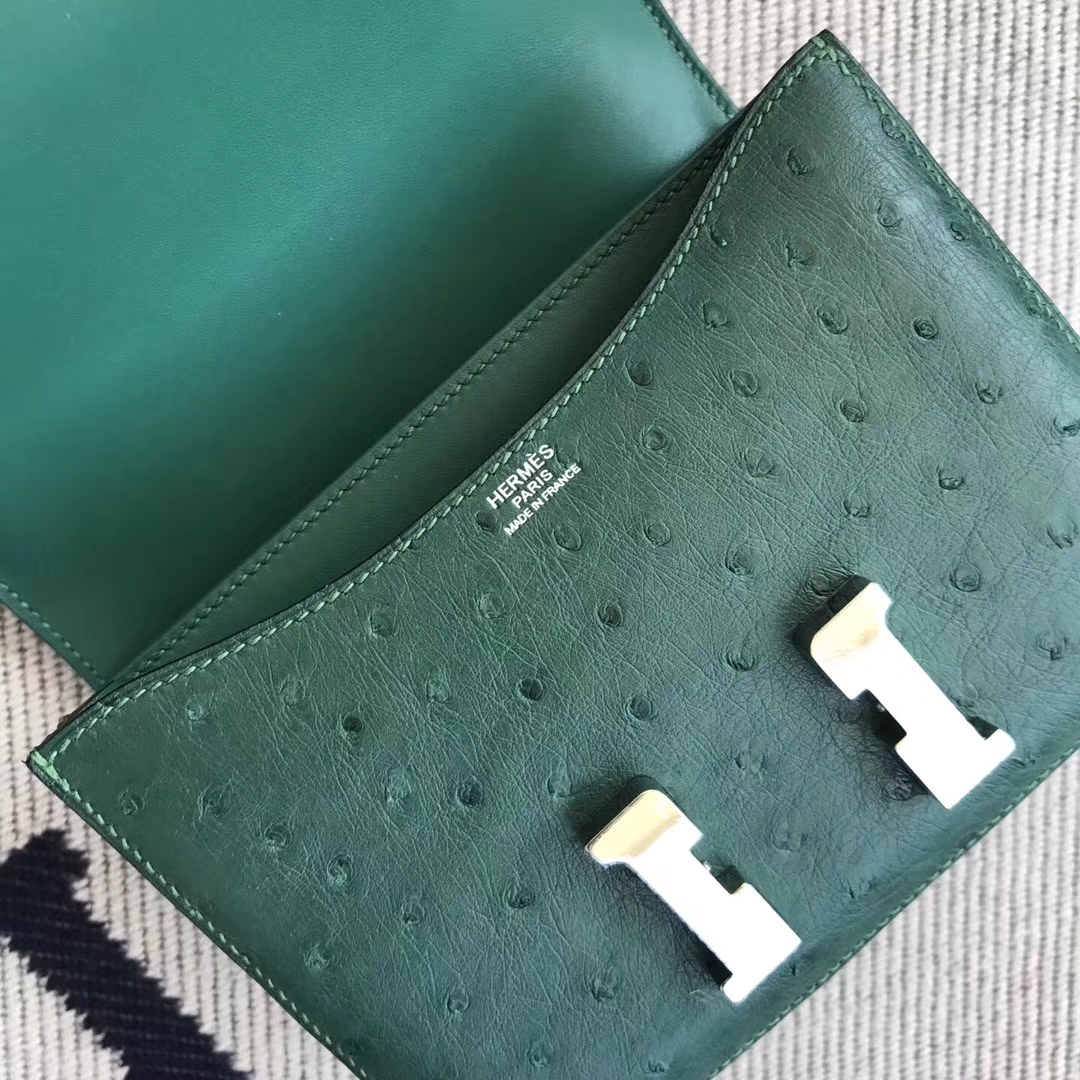 Elegant Hermes Ostrich Leather Constance Bag19CM in Z6 Malachite Green