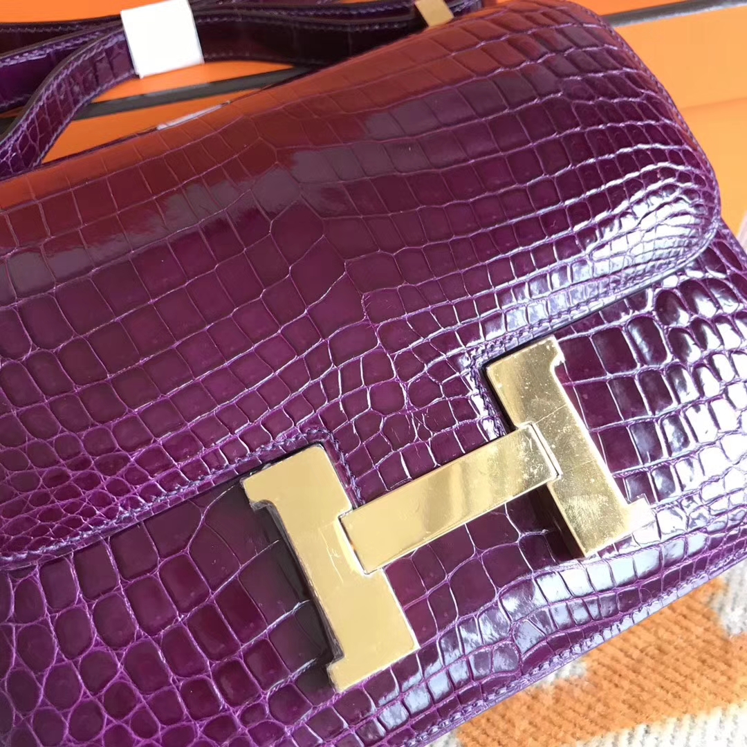 Luxury Hermes Shiny Crocodile Constance Bag24CM in N5 Cassis Purple Gold Hardware