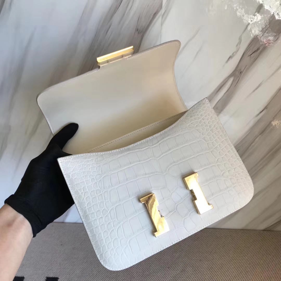 Discount Hermes Alligator Matt Crocodile Constance Bag24CM in 8L Beton White Gold Hardware