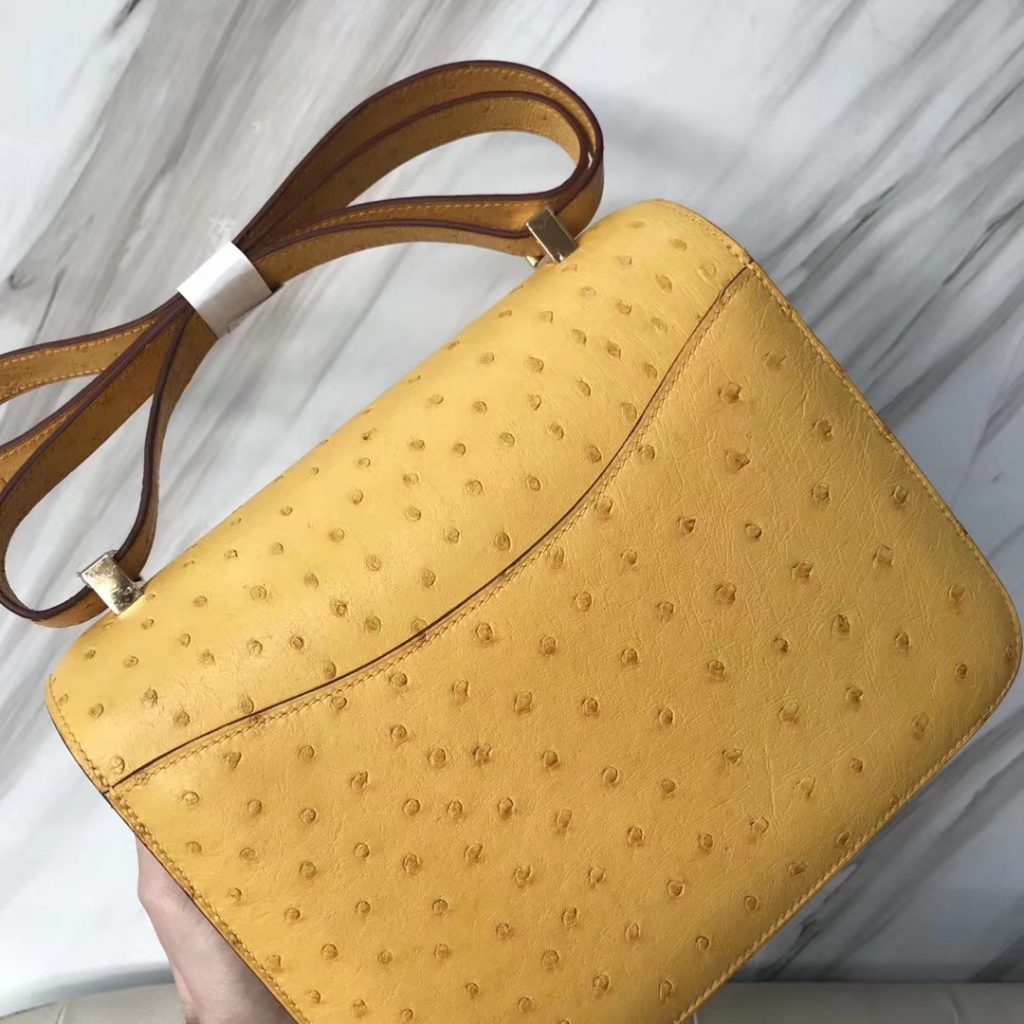 Wholesale Hermes Ostrich Leather Constance Bag23CM in 9D Ambre Yellow Gold Hardware