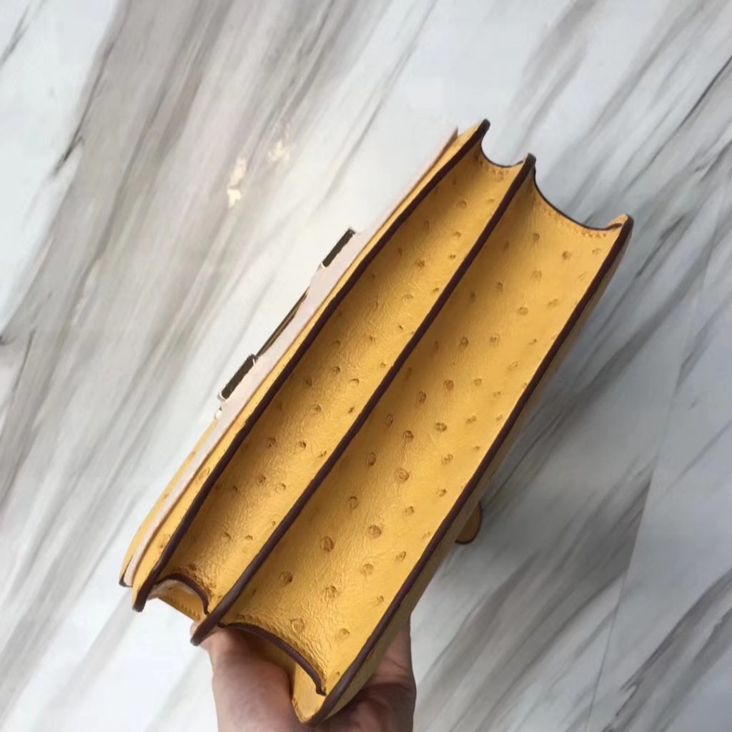 Wholesale Hermes Ostrich Leather Constance Bag23CM in 9D Ambre Yellow Gold Hardware