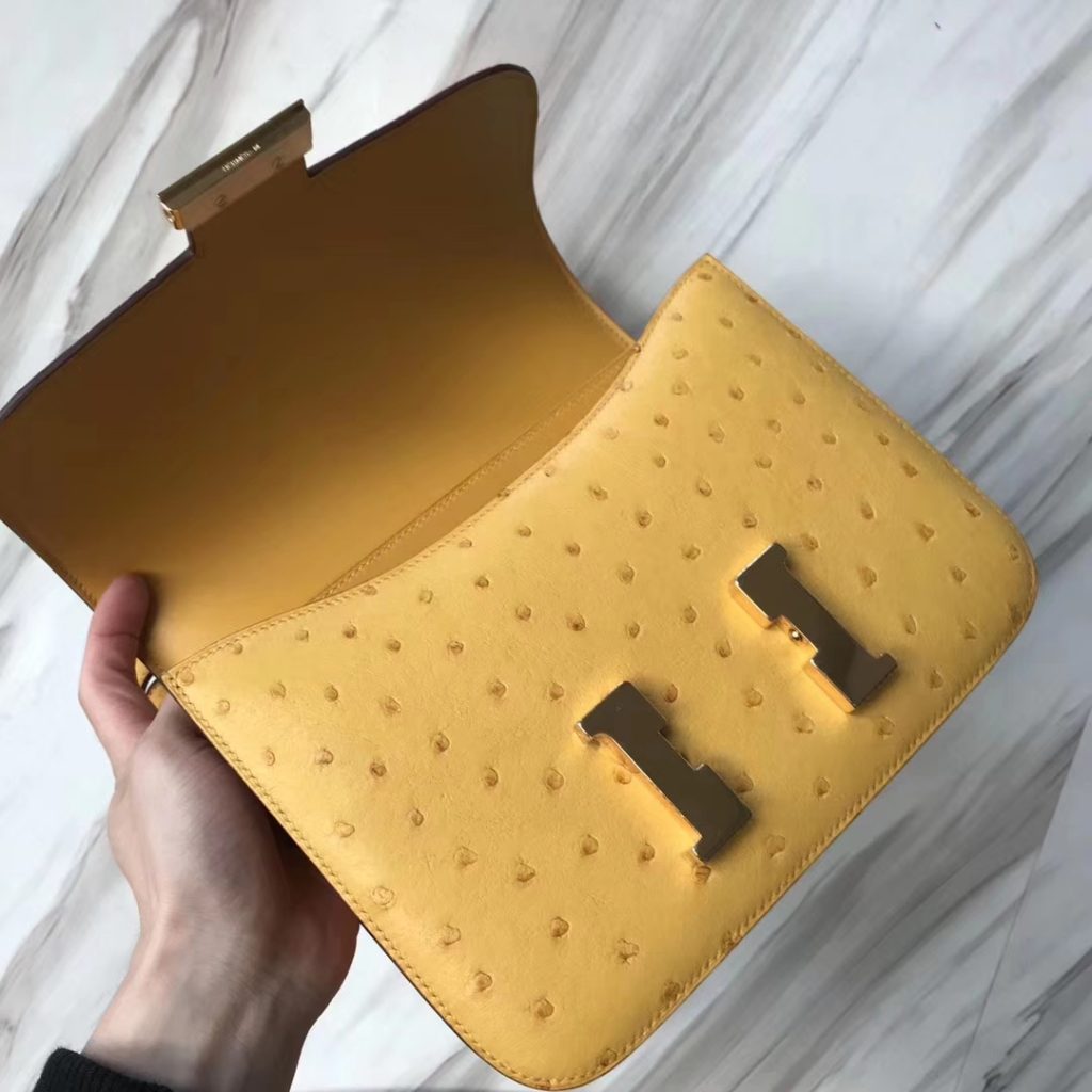 Wholesale Hermes Ostrich Leather Constance Bag23CM in 9D Ambre Yellow Gold Hardware