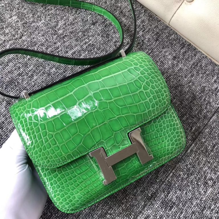 Hermes Shiny Crocodile Constance 18CM Shoulder Bag in 1T Vert Tipien