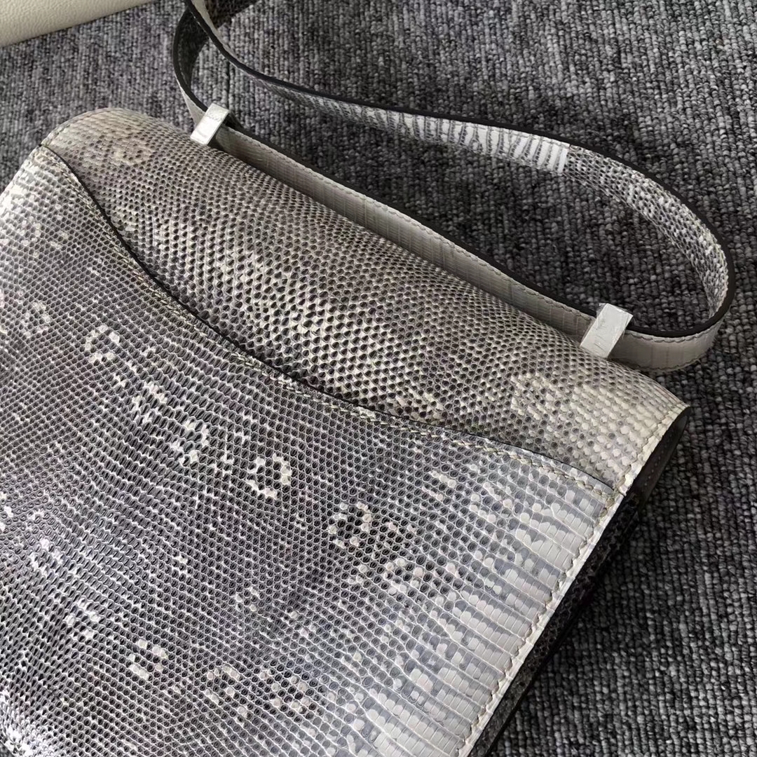 Noble Hermes Nature Color Lizard Leather Constance24CM Bag Silver Hardware