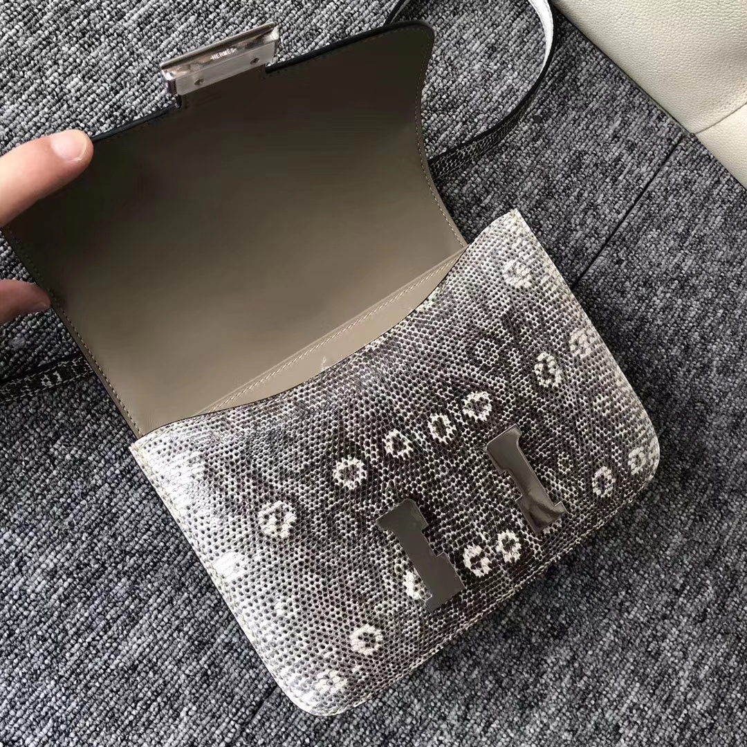 Elegant Hermes 01 Nature Color Lizard Leather Constance Bag19cm Silver Hardware
