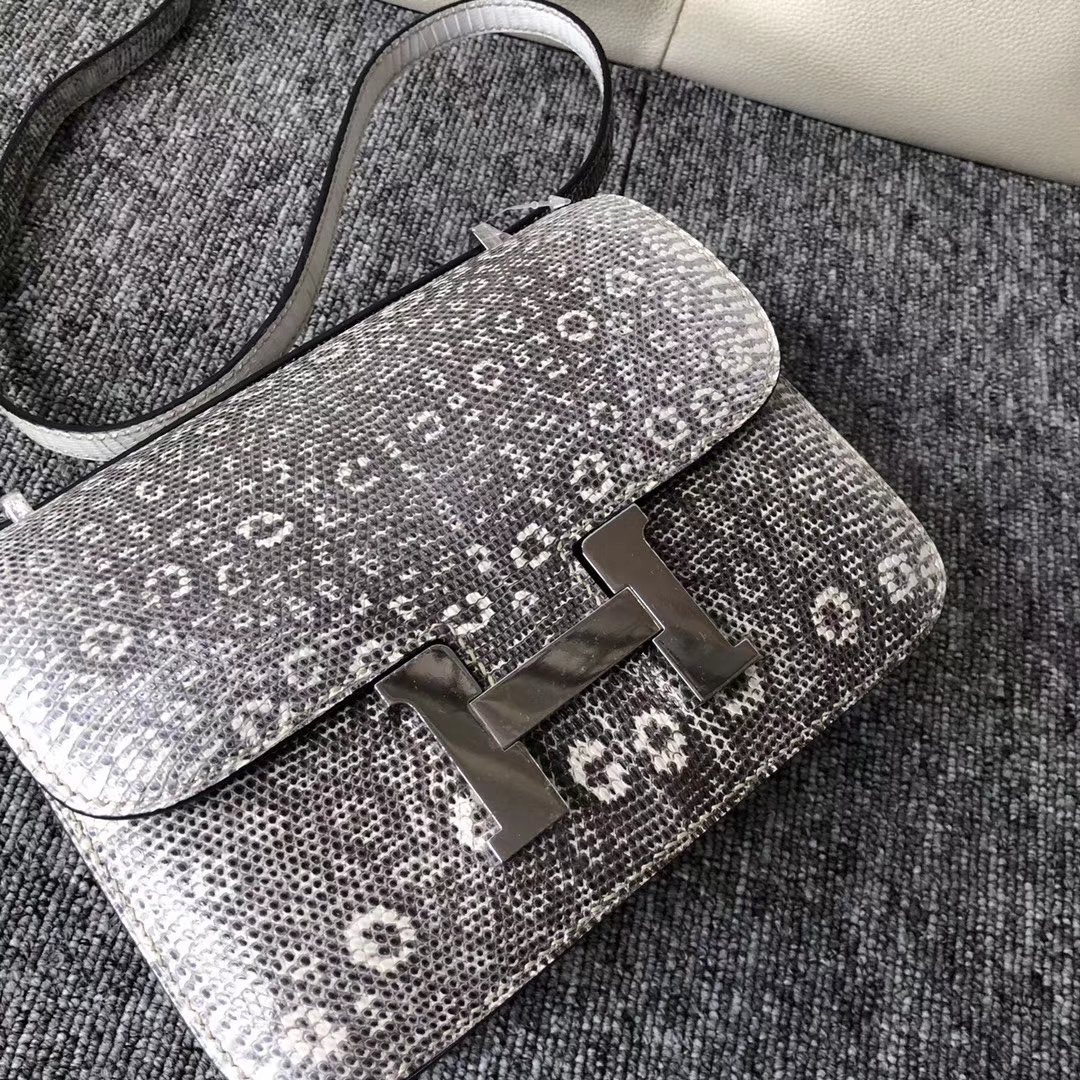 Elegant Hermes 01 Nature Color Lizard Leather Constance Bag19cm Silver Hardware