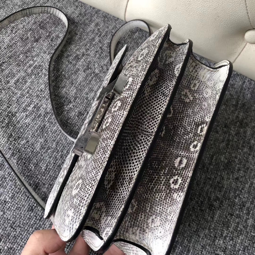 Elegant Hermes 01 Nature Color Lizard Leather Constance Bag19cm Silver Hardware