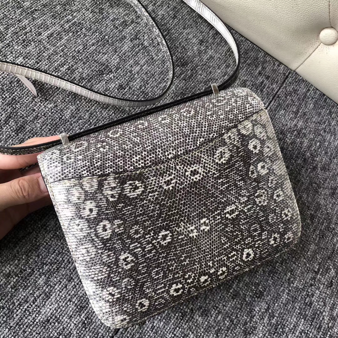 Elegant Hermes 01 Nature Color Lizard Leather Constance Bag19cm Silver Hardware