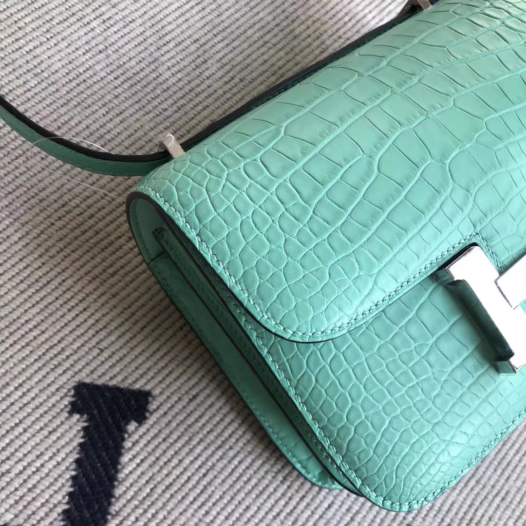 Customize Hermes Alligator Crocodile Constance19CM Bag 6U Mint Green Silver Hardware