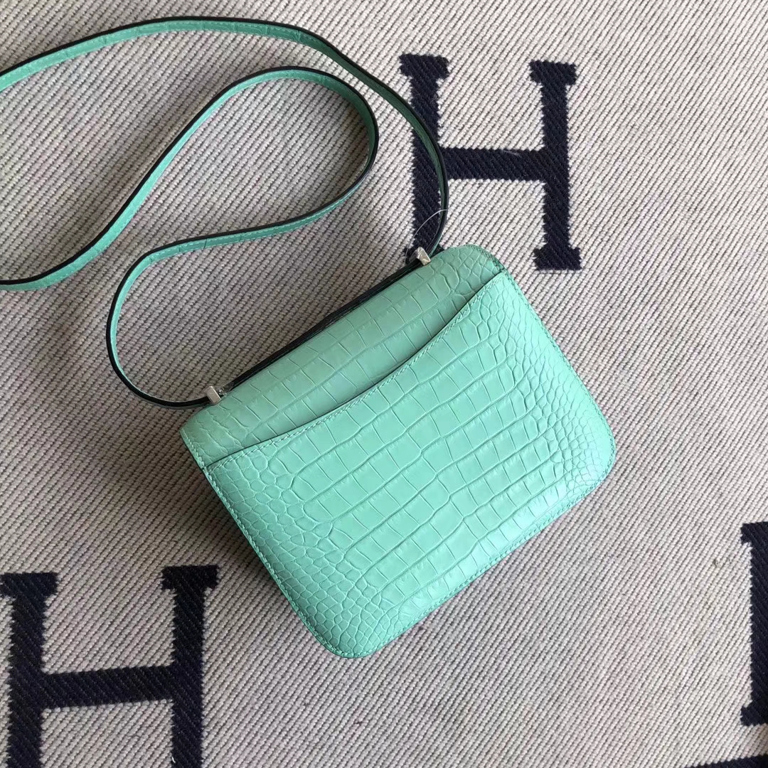 Customize Hermes Alligator Crocodile Constance19CM Bag 6U Mint Green Silver Hardware