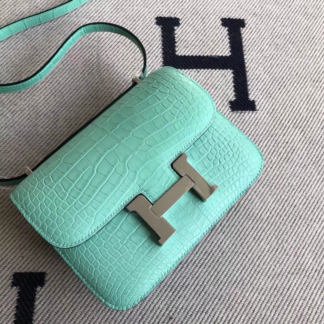 Customize Hermes Alligator Crocodile Constance19CM Bag 6U Mint Green Silver Hardware