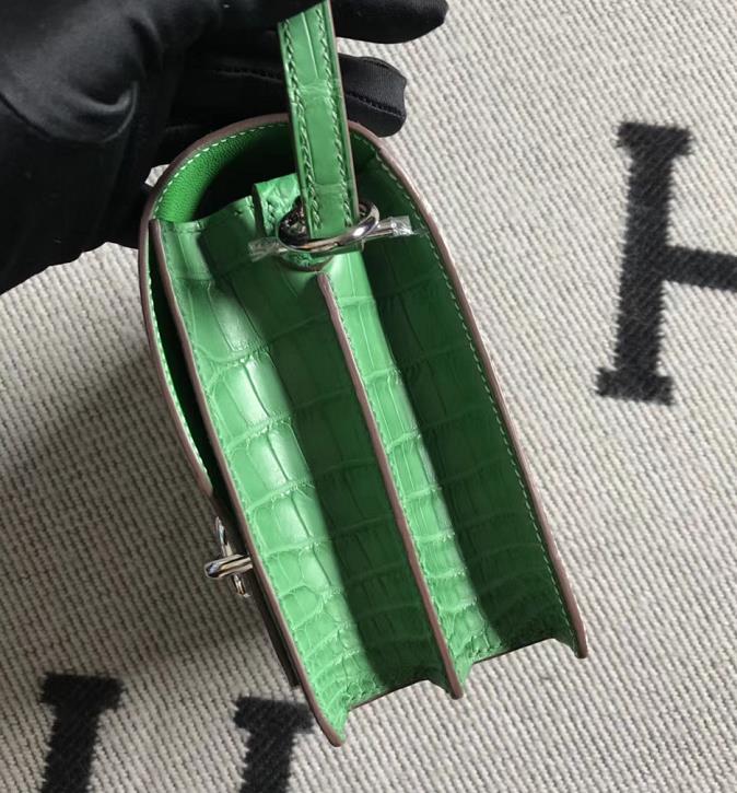 Stock Hermes 01 Nature Lizard &#038; Vert Cacti Crocodile Matt Roulis Bag18CM Silver Hardware