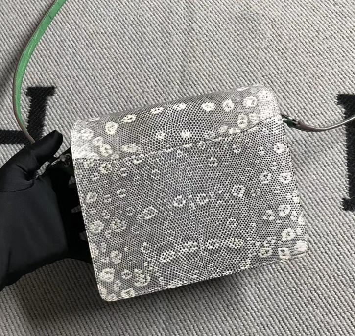 Stock Hermes 01 Nature Lizard &#038; Vert Cacti Crocodile Matt Roulis Bag18CM Silver Hardware