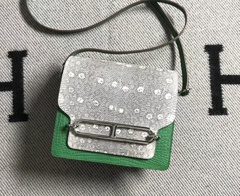 Stock Hermes 01 Nature Lizard &#038; Vert Cacti Crocodile Matt Roulis Bag18CM Silver Hardware