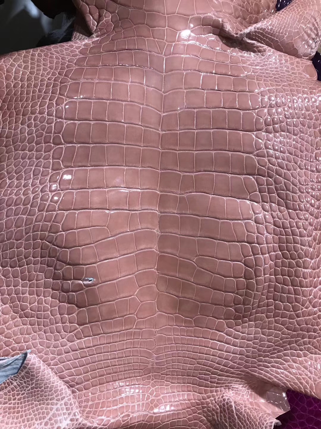 New Pretty Hermes Rose Indienne Alligator Shiny Crocodile Leather
