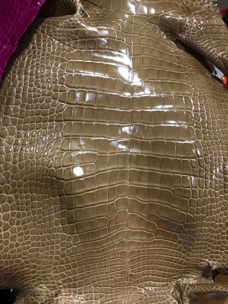 Hermes Etoupe Grey Shiny Crocodile Leather Can Order Minikelly Bag