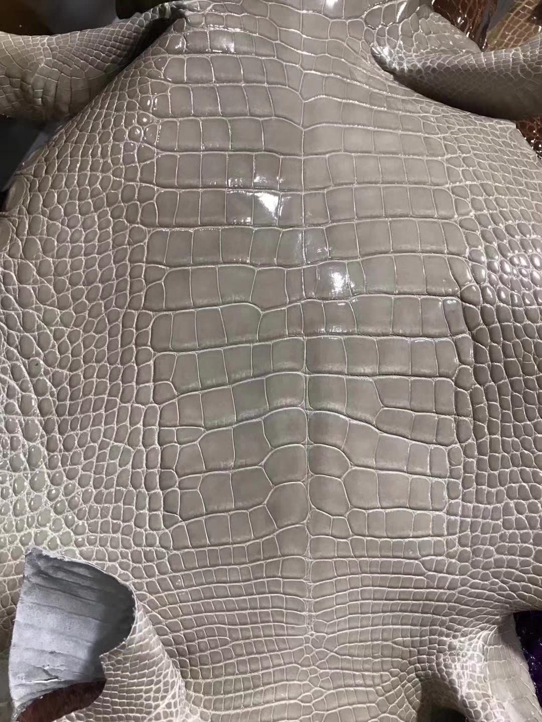 Discount Hermes Light Grey Alligator Shiny Crocodile Leather