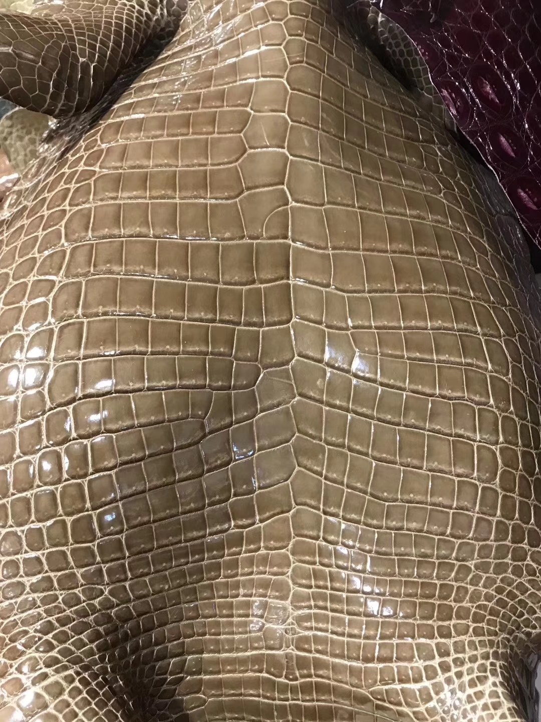 Hot Sale Hermes Etoupe Grey Crocodile Shiny Leather Can Order Kelly/BirkinCM