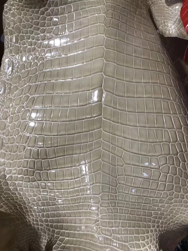 Hermes Light Grey Crocodile Shiny Leather Can Order Birkin/Kelly Bag