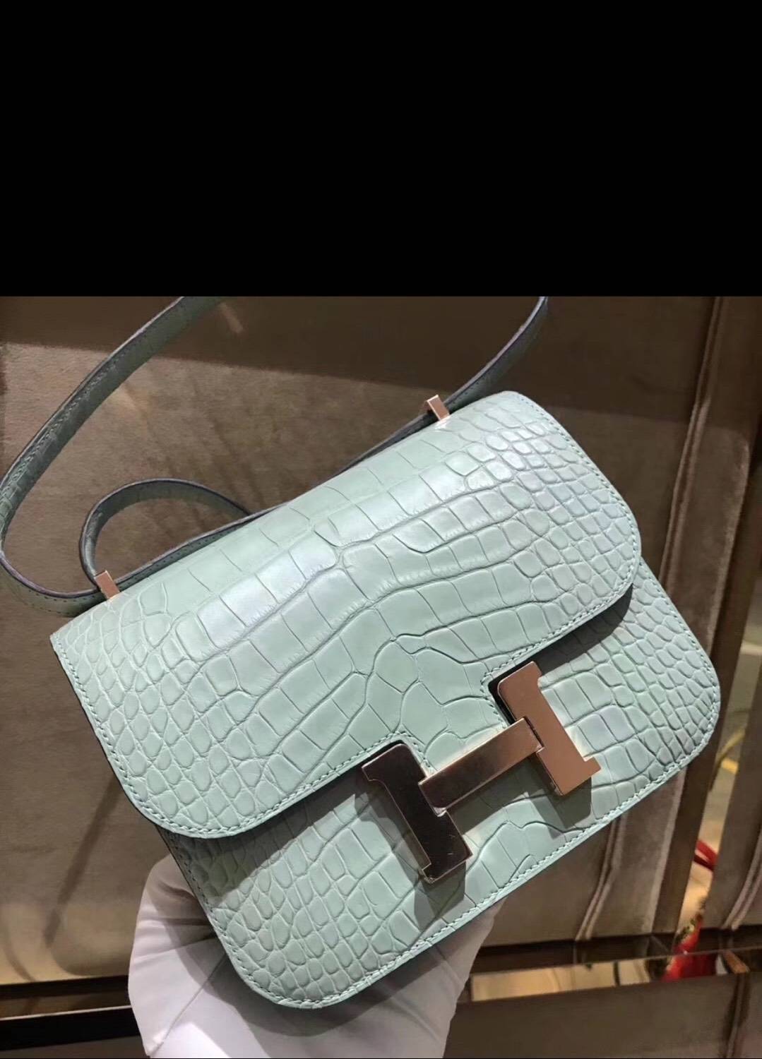 Wholesale Hermes Matt Crocodile Leather in 6U Mint Green Can Order Constance Bag