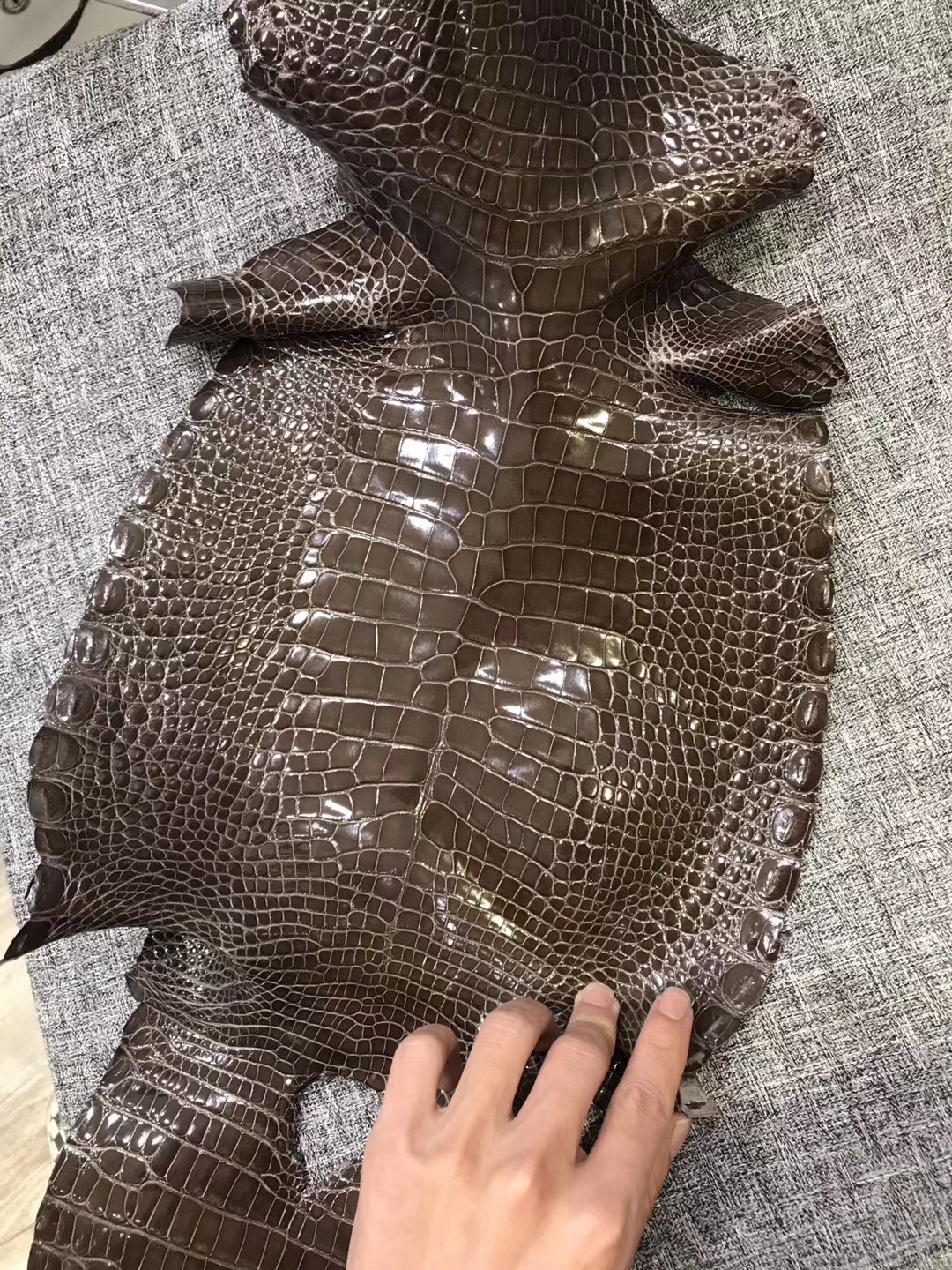 New Arrival Hermes Shiny Alligator Crocodile Leather Suit For Small Bag