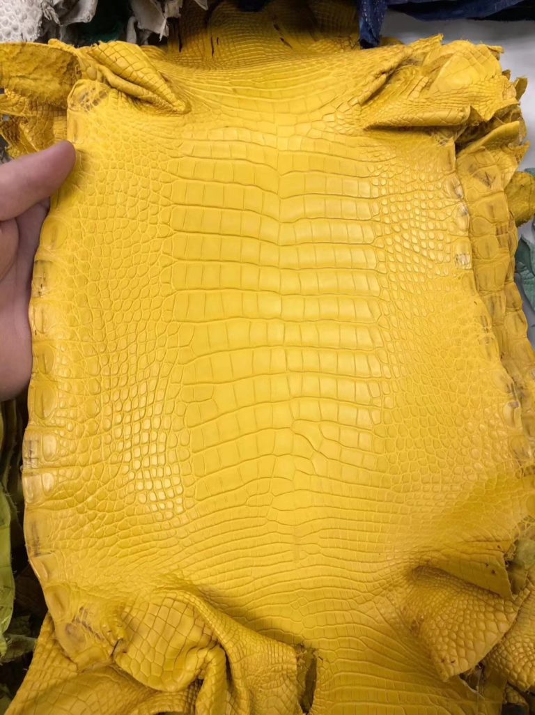 Hermes Bag Order Yellow Matt Crocodile Leather Can Order Minikelly/Constance Bag