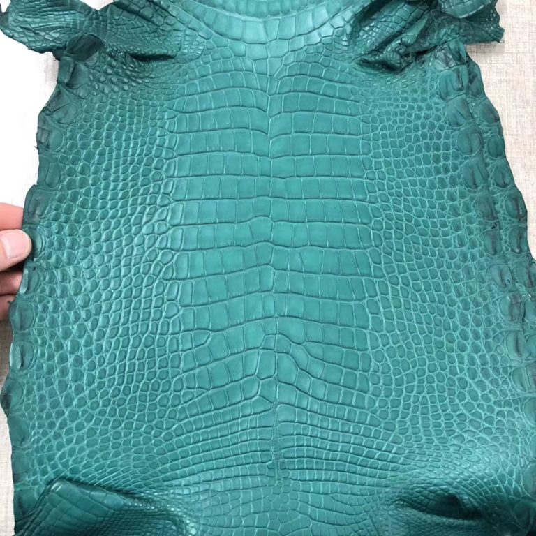 Hermes Matt Crocodile Leather Can Order Minikelly Bag/Constance Bag