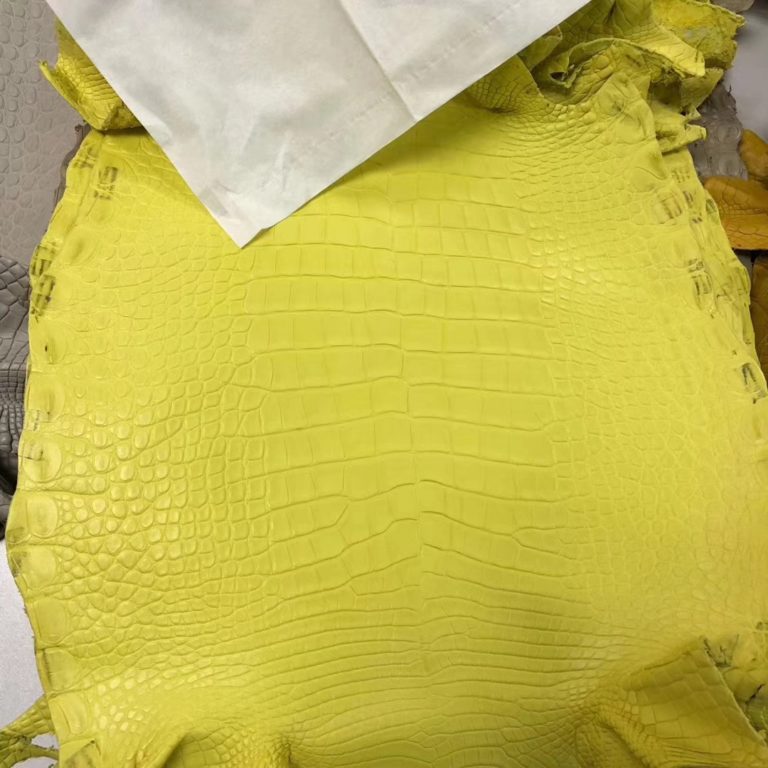 Hermes Matt Crocodile Leather in Lemon Yellow Can Order Constance Bag