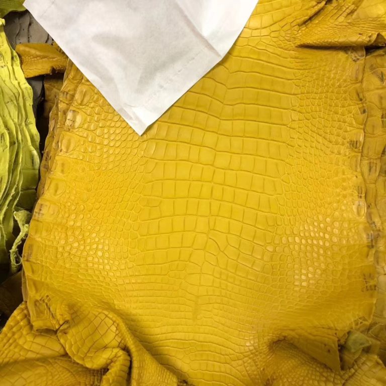 Hermes Matt Crocodile Leather in Yellow Can Order Minikelly Bag