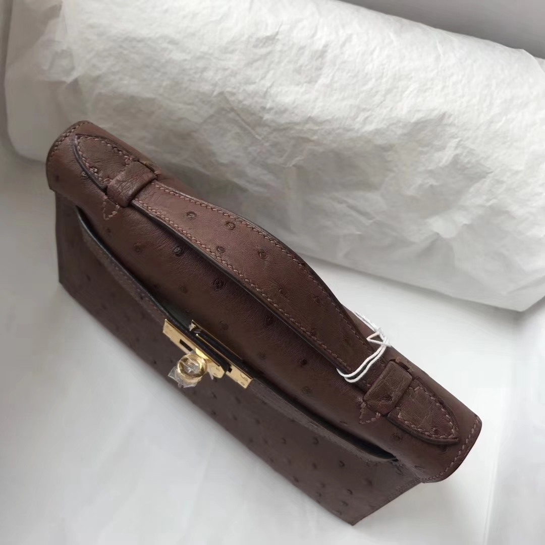Fashion Hermes Tobacco Color Ostrich Leather Minikelly Pochette 22CM Gold Hardware