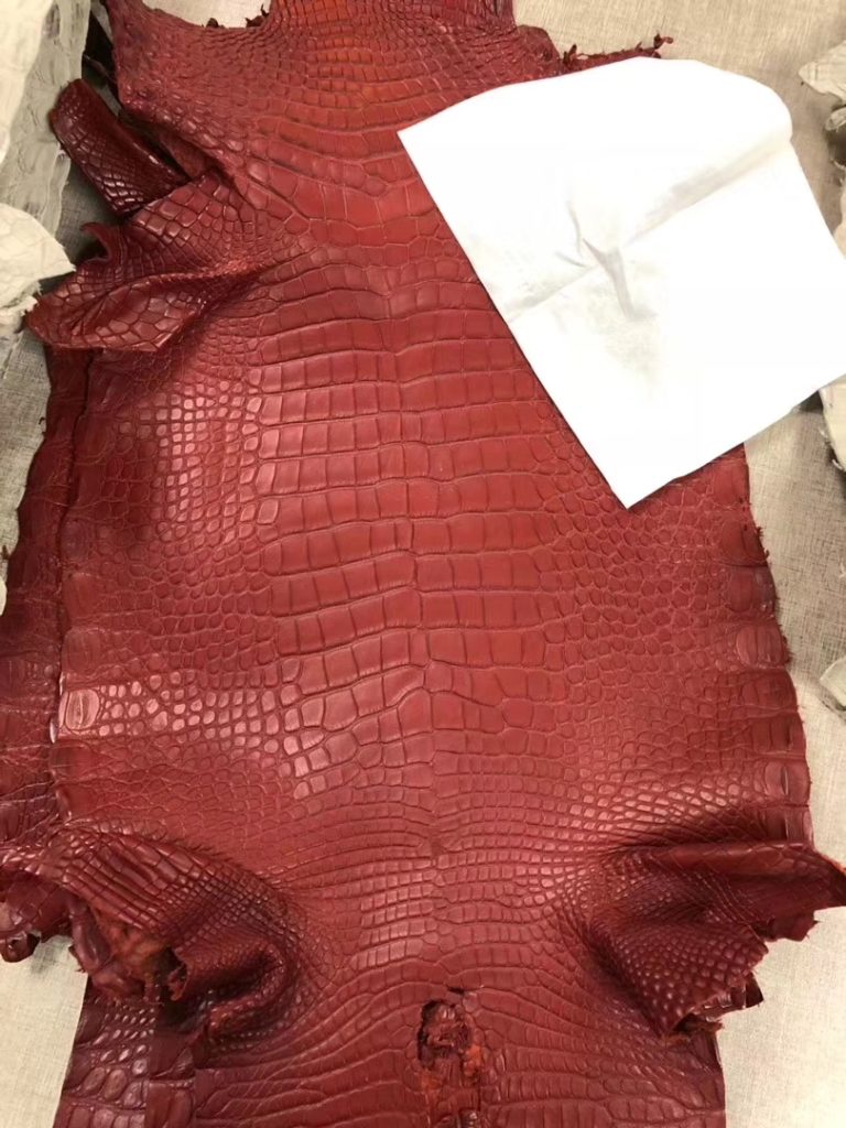 Hermes Matt Crocodile Leather Can Order Minikelly/Constance Bag