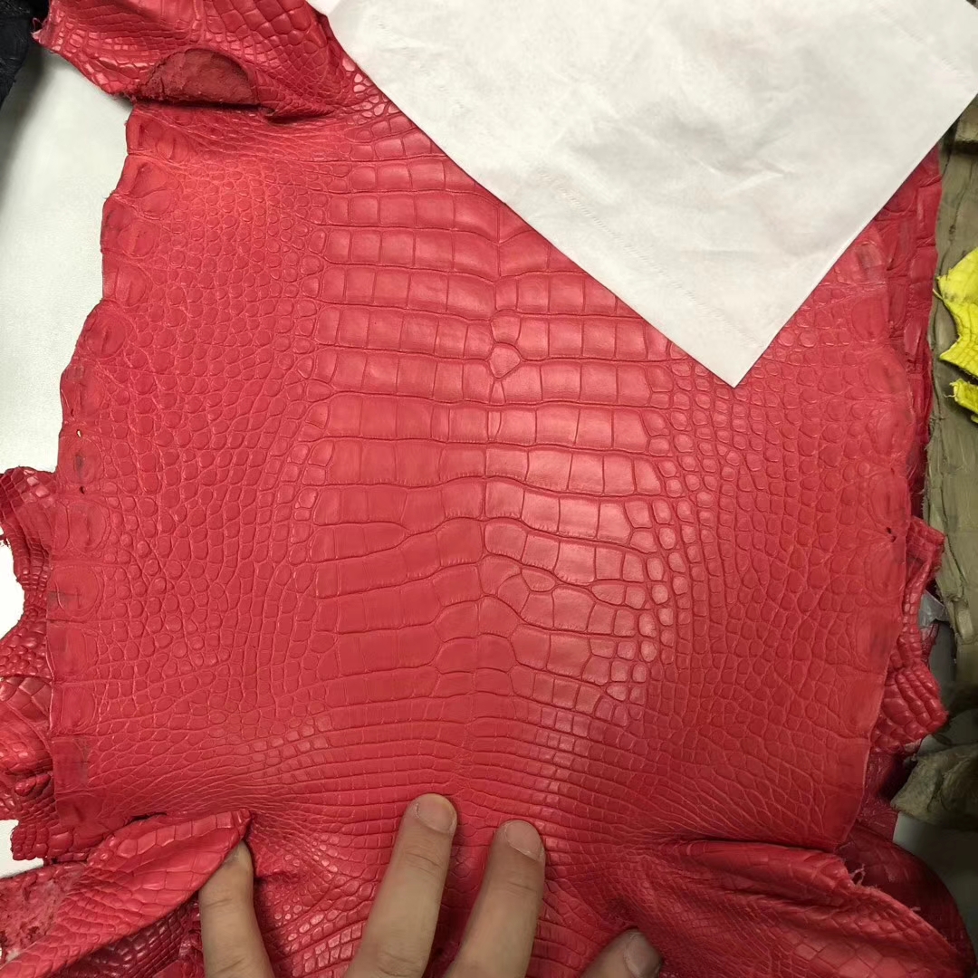 Hermes Minikelly/Constance Bag Order New Matt Crocodile Leather