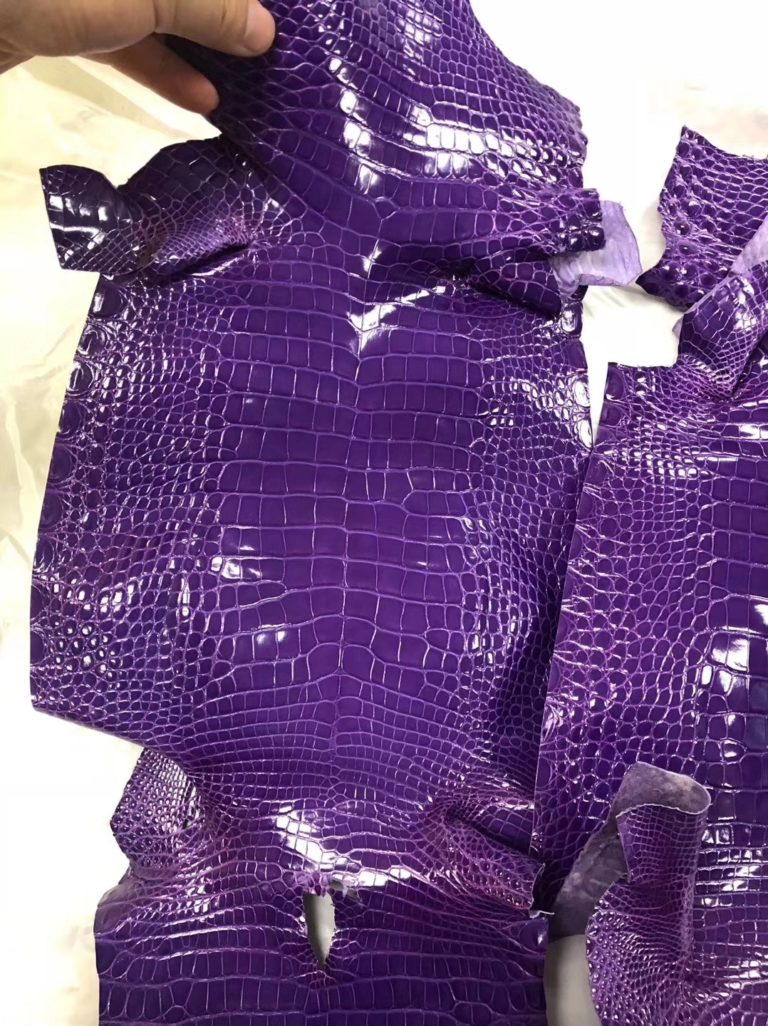 Hermes Shiny Crocodile Leather in Violet Can Order Hermes Bag