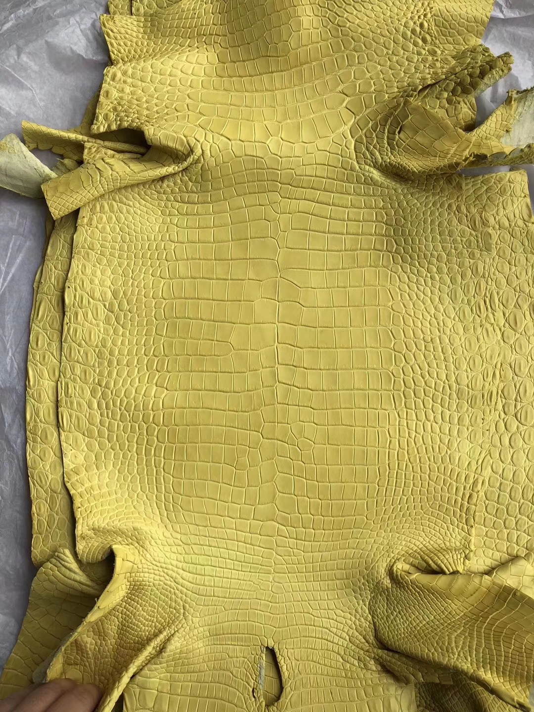 New Arrival Hermes 9R Lemon Yellow Matt Porous Crocodile Leather