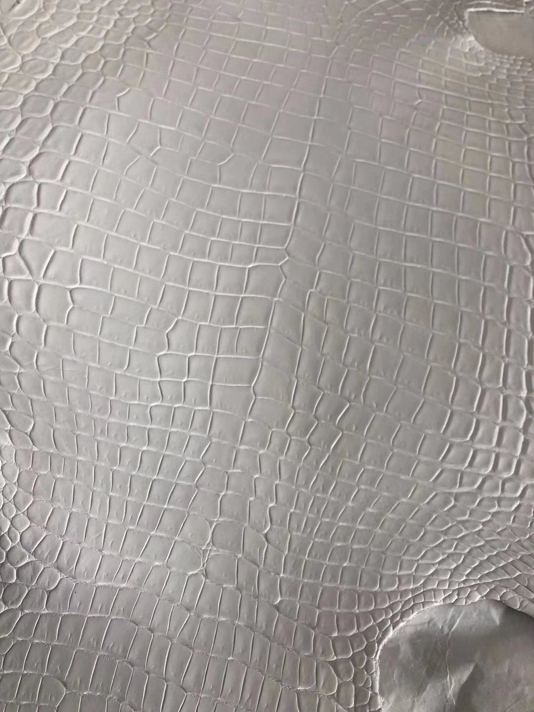 Hermes Birkin/Kelly Bag Order 01 Pure White Matt Crocodile Leather