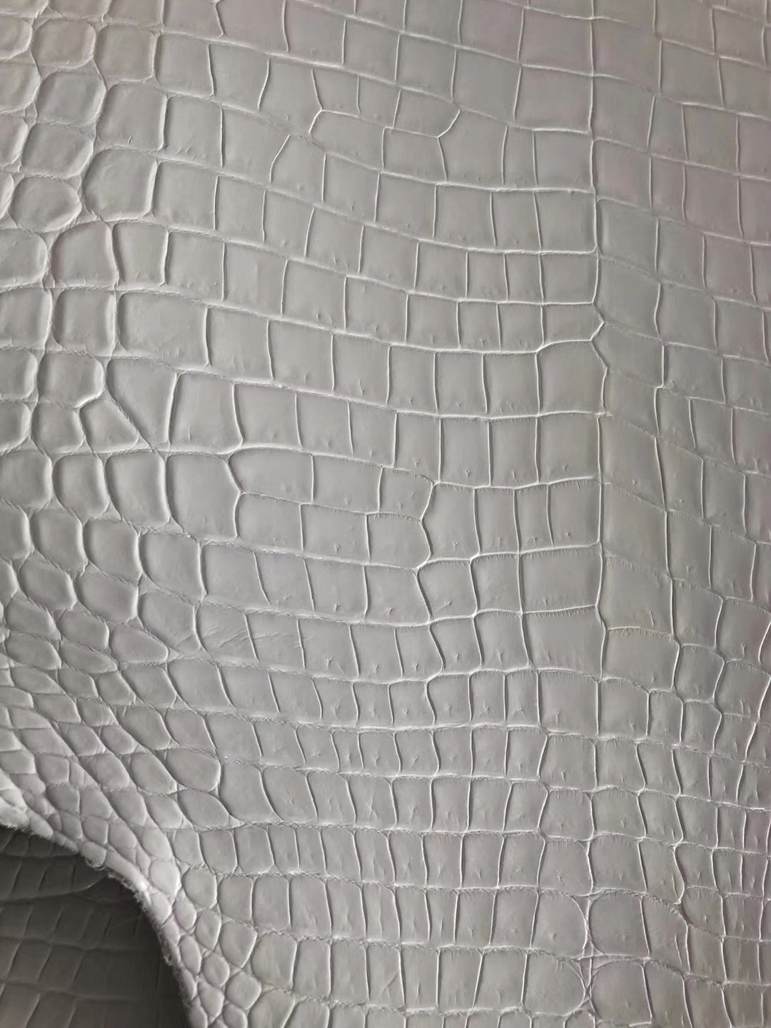 Hermes Birkin/Kelly Bag Order 01 Pure White Matt Crocodile Leather