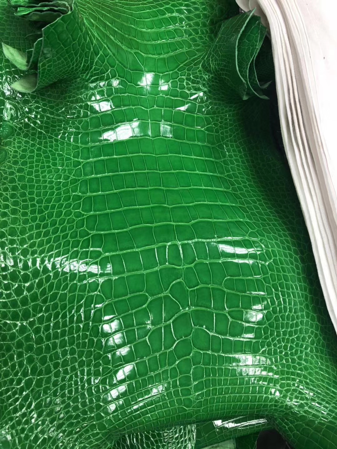Elegant Hermes 1K Bamboo Green Shiny Alligator Crocodile Leather Can Order Constance Bag