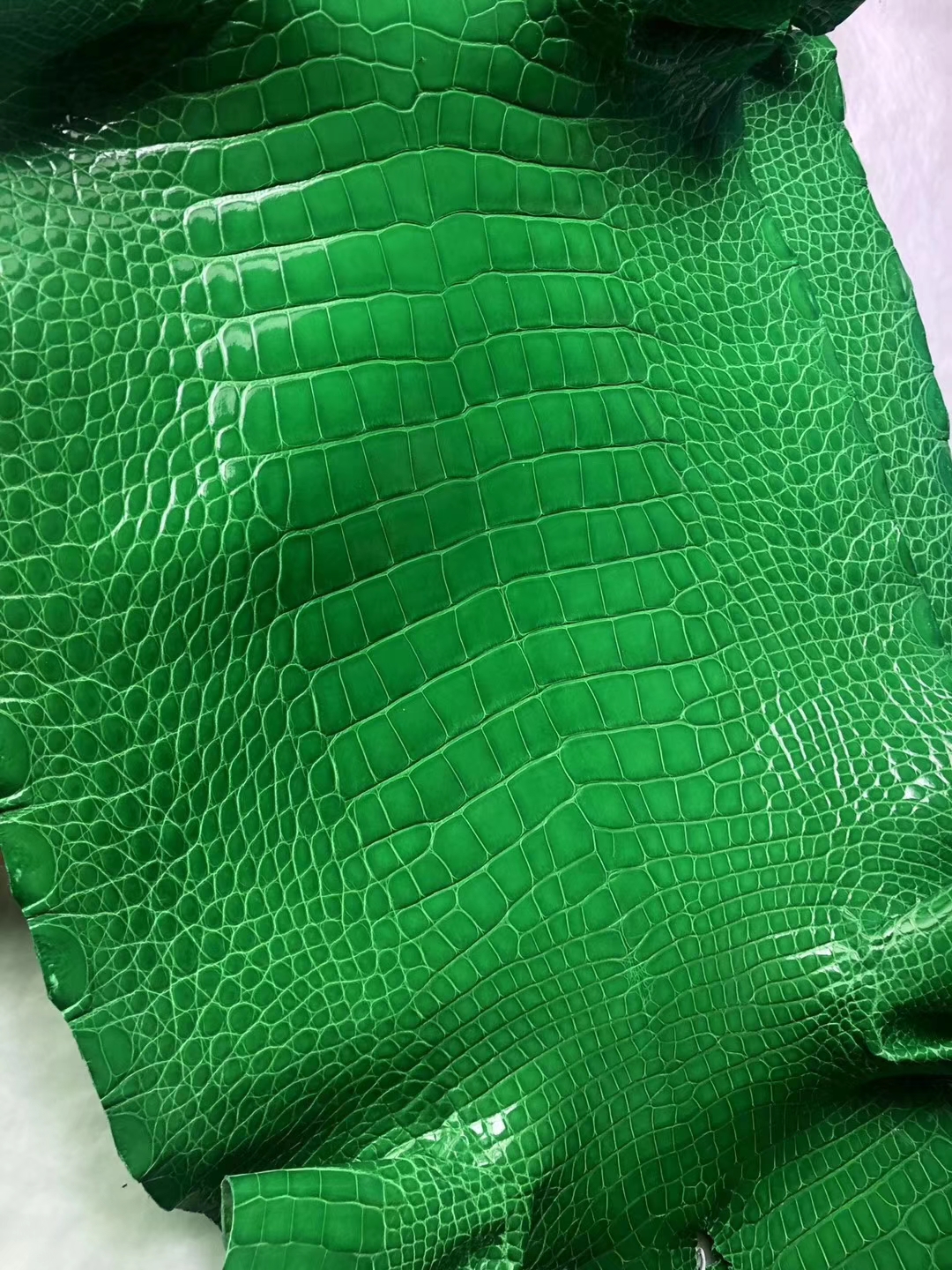 Hermes Bags Order 1T Vert Tipien Shiny Crocodile Leather Can Order Birkin/Kelly Bag