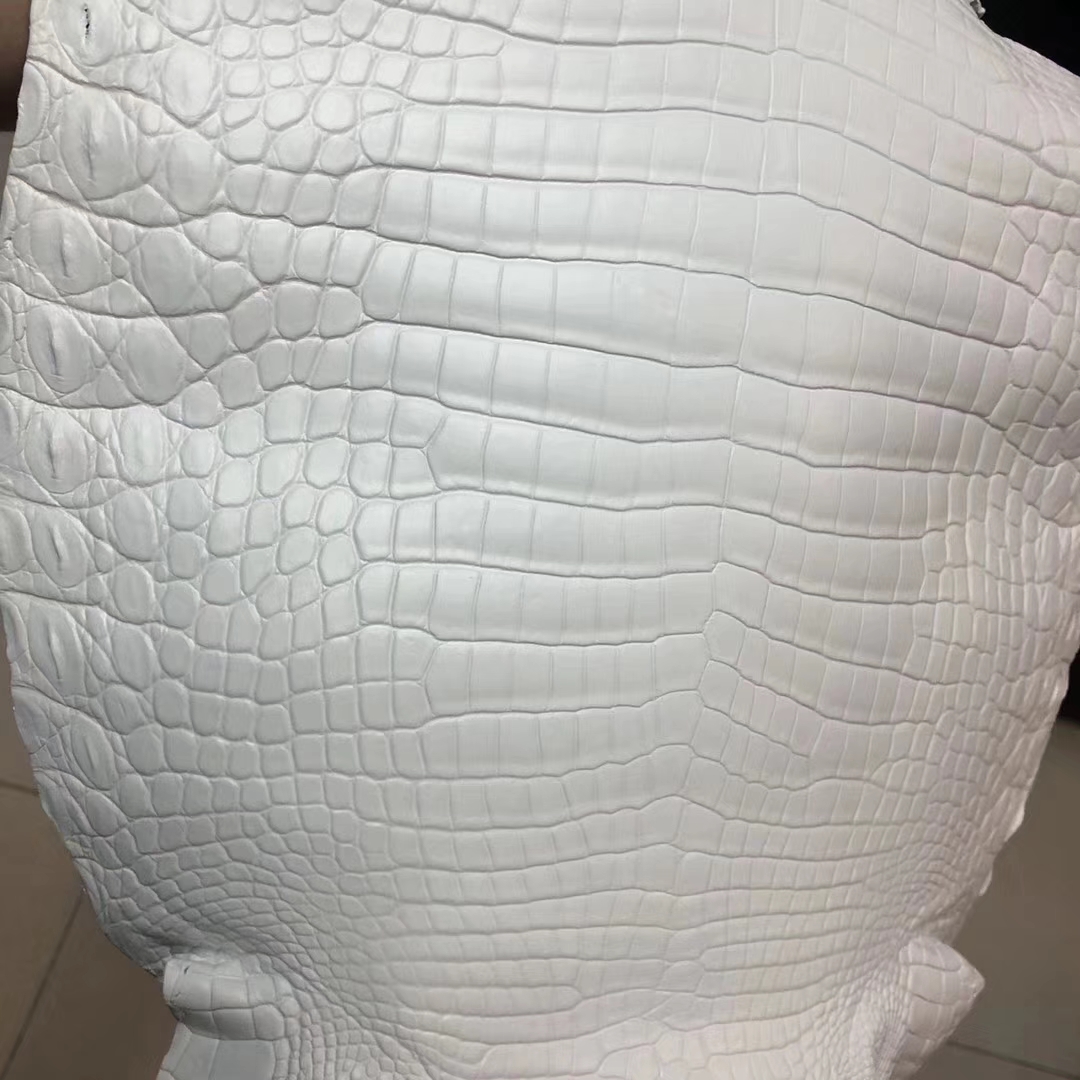 Hermes Birkin/Kelly Bags Order Pure White Matt Crocodile Leather