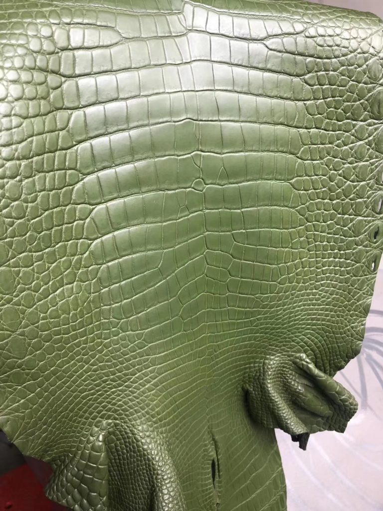 Hermes Kelly/Birkin Bags Order Canopee Green Matt Crocodile Leather